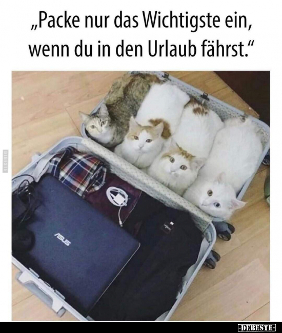 "Packe nur das Wichtigste ein, wenn du in den Urlaub.." - Lustige Bilder | DEBESTE.de
