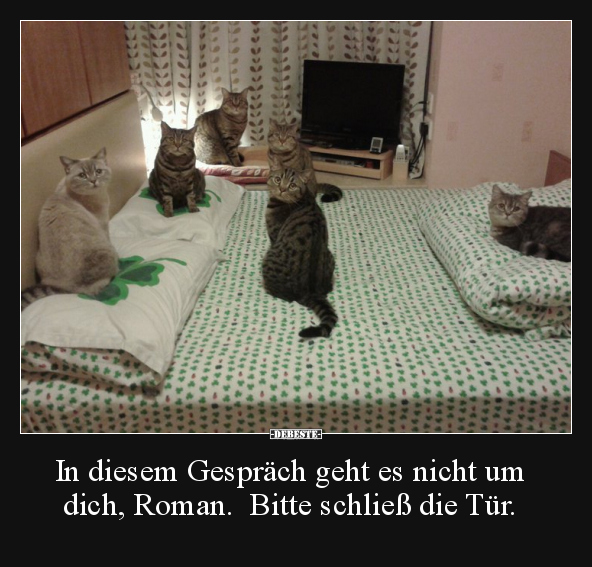 In diesem Gespräch geht es nicht um dich, Roman.. - Lustige Bilder | DEBESTE.de
