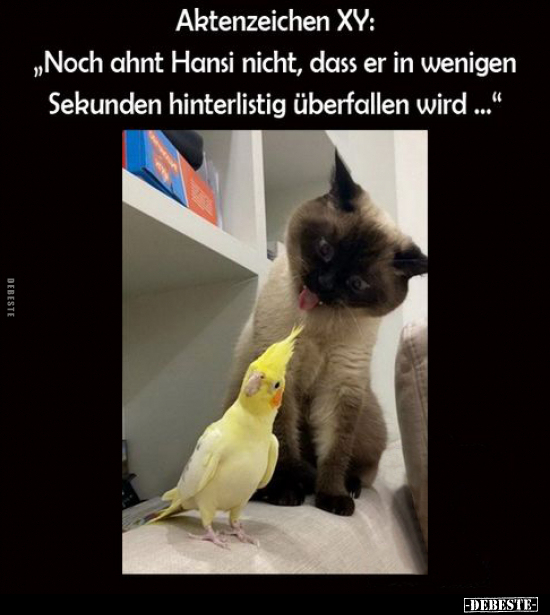 Aktenzeichen XY: „Noch ahnt Hansi nicht, dass er in.." - Lustige Bilder | DEBESTE.de