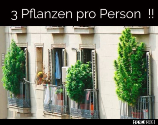 3 Pflanzen pro Person !!.. - Lustige Bilder | DEBESTE.de