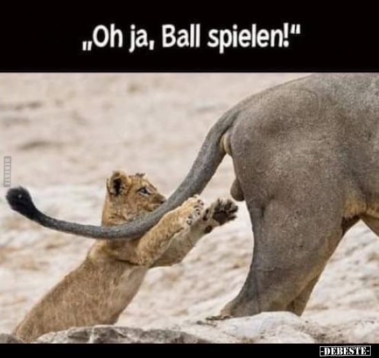 "Oh ja, Ball spielen!".. - Lustige Bilder | DEBESTE.de