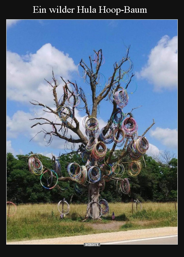 Ein wilder Hula Hoop-Baum.. - Lustige Bilder | DEBESTE.de