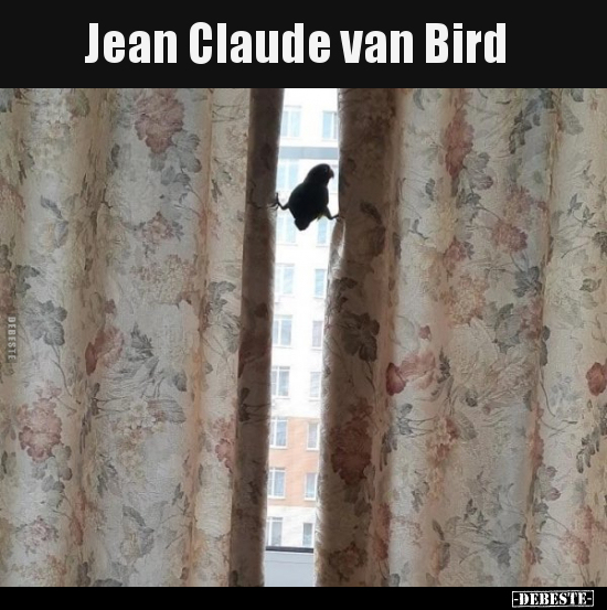 Jean Claude van Bird.. - Lustige Bilder | DEBESTE.de