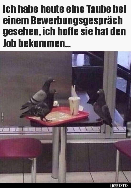 Ich habe heute eine Taube bei einem Bewerbungsgespräch.. - Lustige Bilder | DEBESTE.de