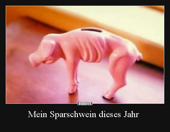 Mein Sparschwein dieses Jahr.. - Lustige Bilder | DEBESTE.de