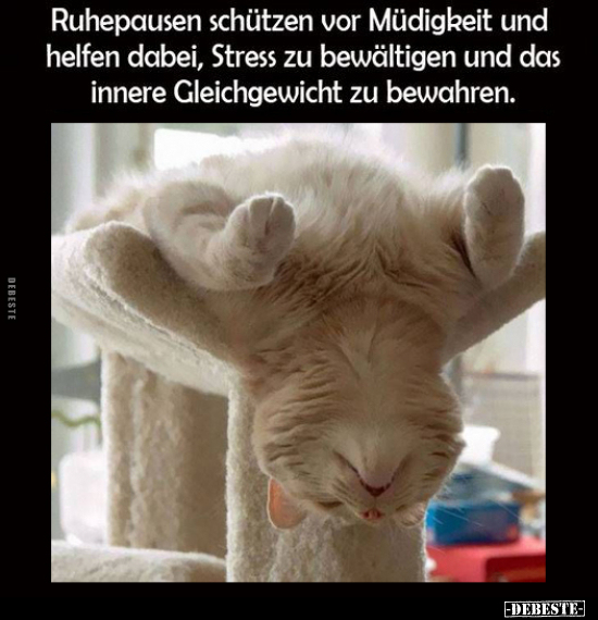 Ruhepausen schützen vor Müdigkeit und helfen dabei, Stress.. - Lustige Bilder | DEBESTE.de