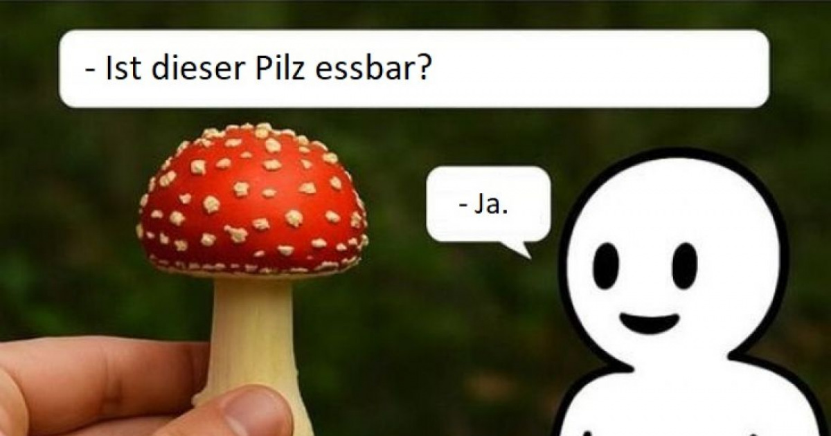 Pilze Sprche Lustig