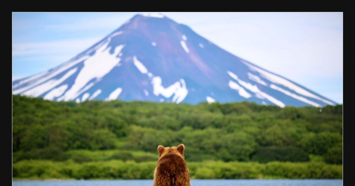  Neue Bilder und Memes - Mit Bären - lustig, kostenlos - DEBESTE.de Illustration 