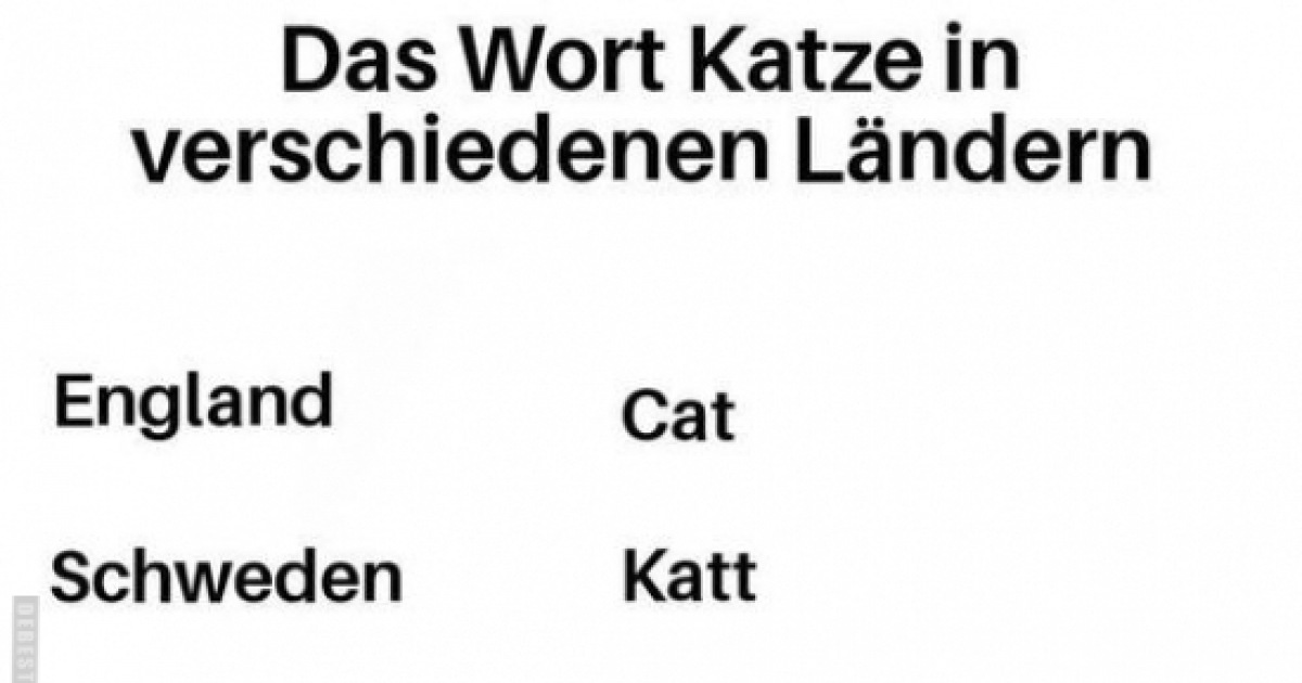 Das Wort Katze In Verschiedenen Ländern debeste.de