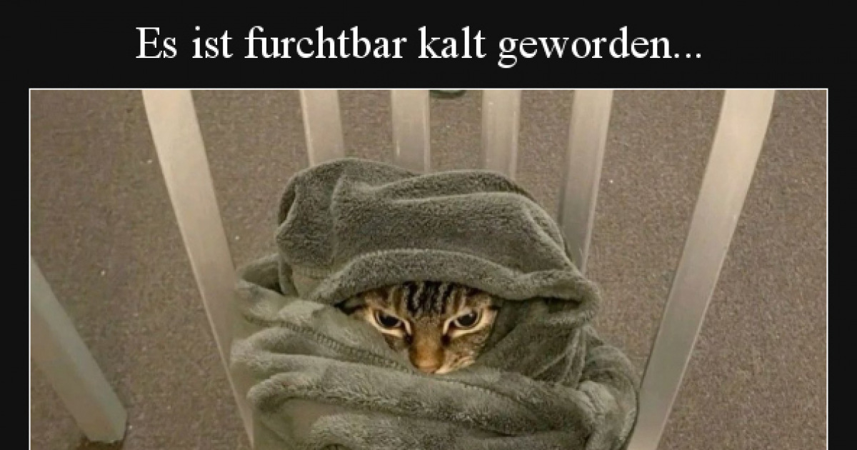 Es Ist Kalt Geworden Lustige Bilder 630 lustige Bilder Kalt - Seite (11) - DEBESTE.de