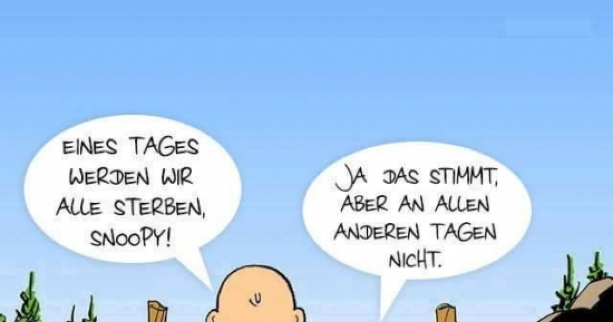 10-lustige-bilder-tages-seite-16-debeste-de