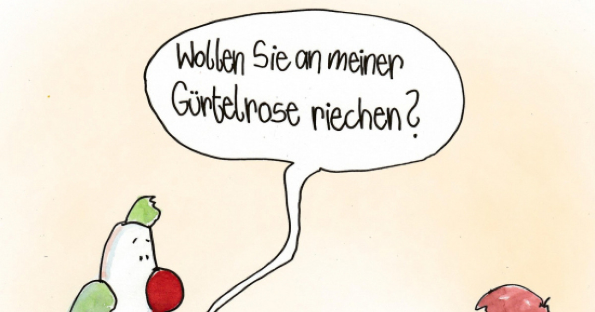 Gurtelrose Bilder Lustig