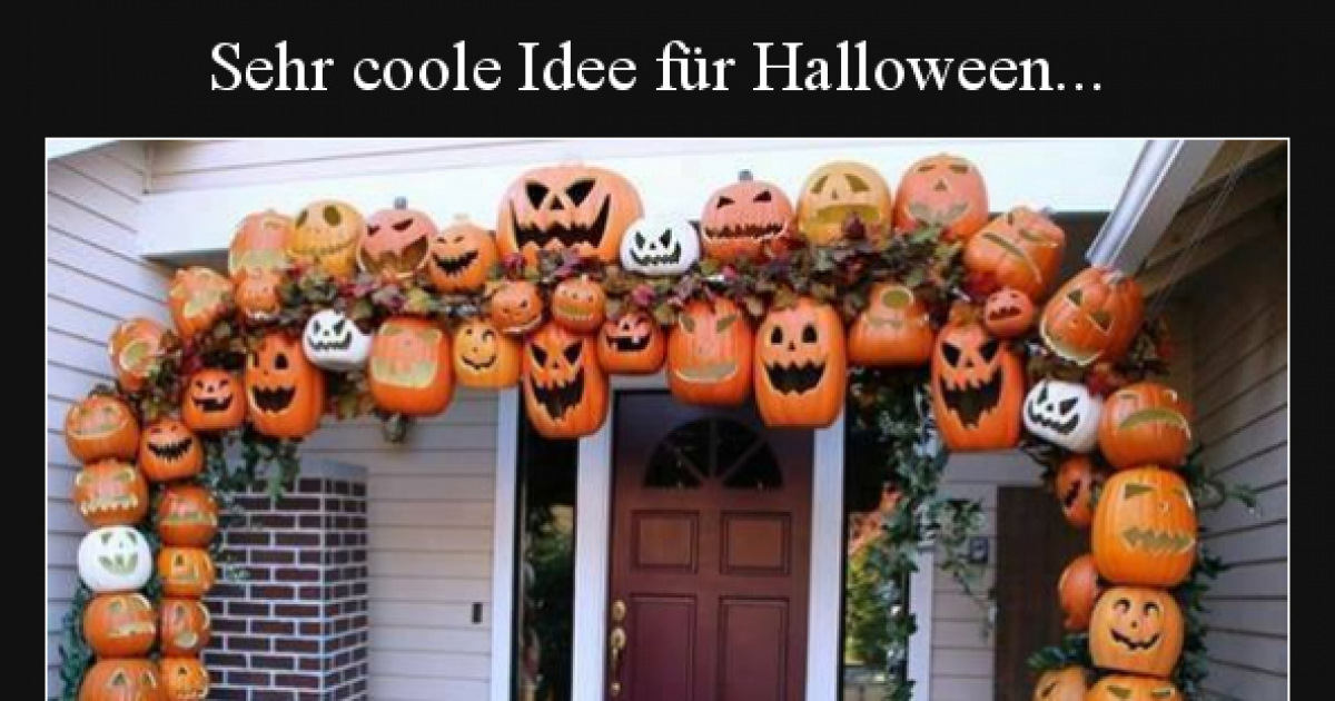 coole lustige sprüche bilder kostenlos