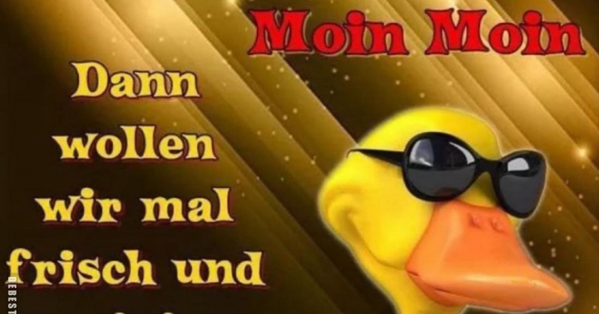 Stilvolle Moin Bilder Kostenlos Ebenbild