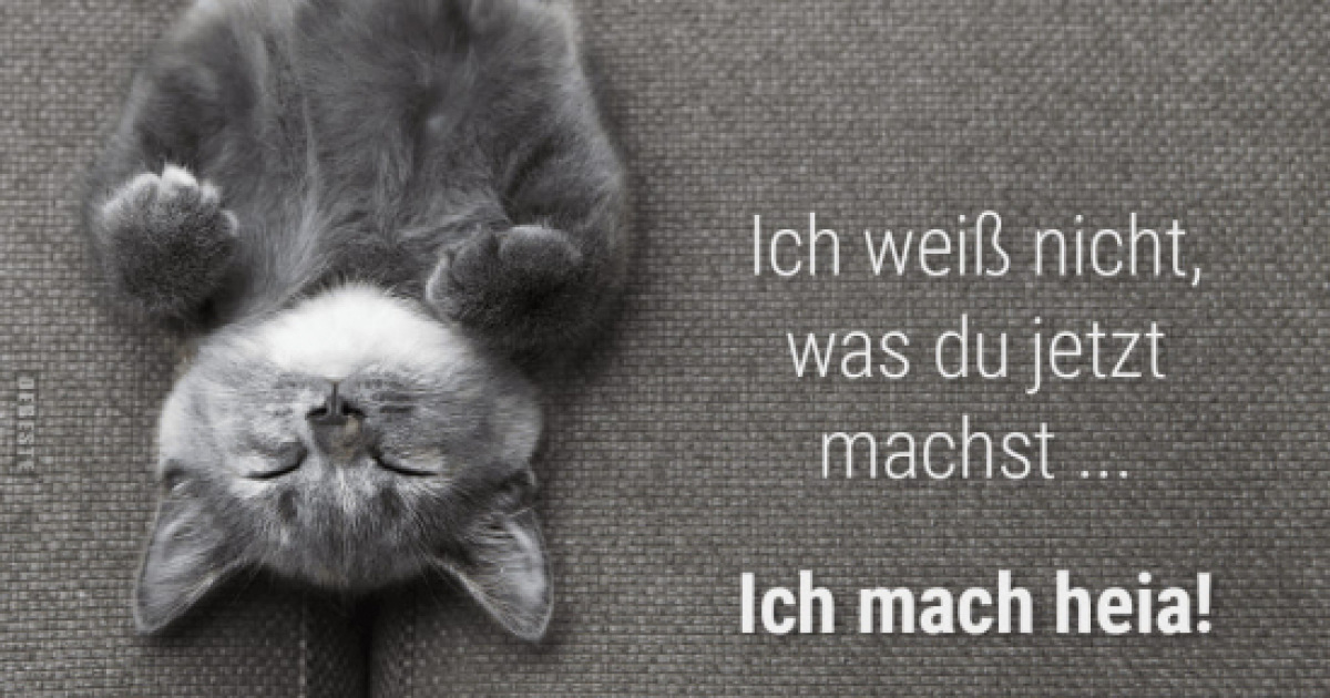 Es Ist Viel Zu Heiß Lustige Bilder 10 lustige Bilder Hei - Seite (246) - DEBESTE.de