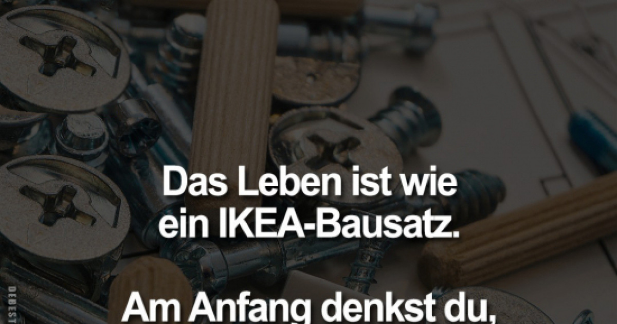 2500-lustige-bilder-bau-seite-216-debeste-de
