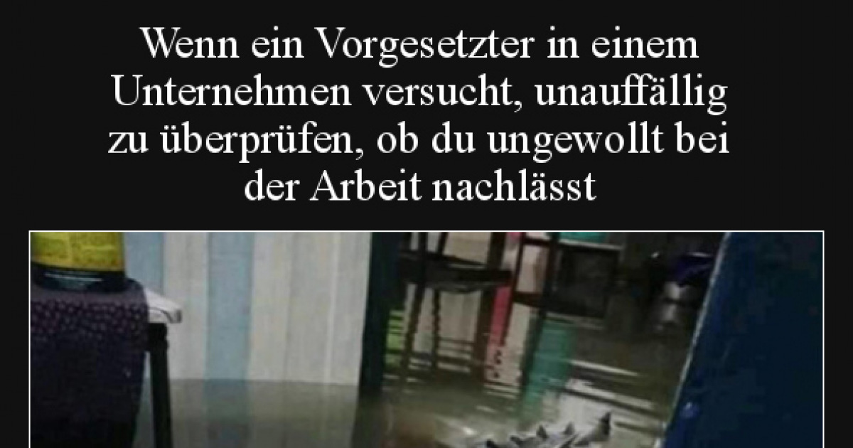 lustige bilder von der arbeit