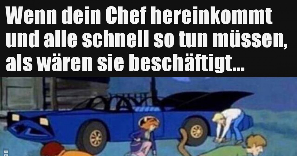 920+ Lustige Chef-Bilder - Seite (17)