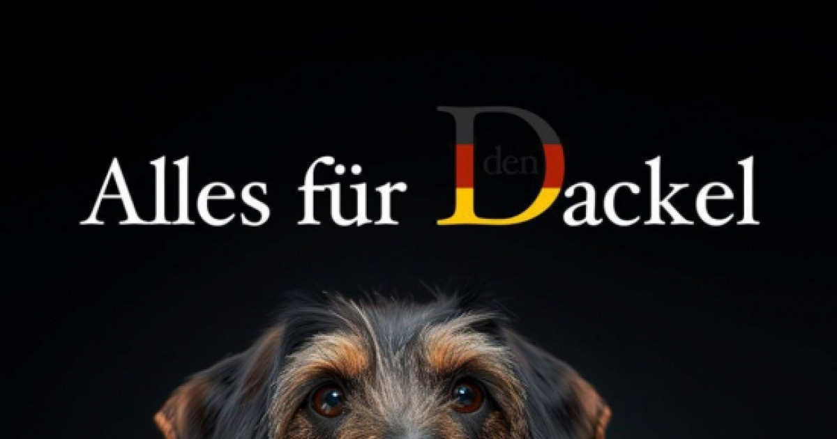 30 lustige Bilder Dackel - Seite (2) - DEBESTE.de