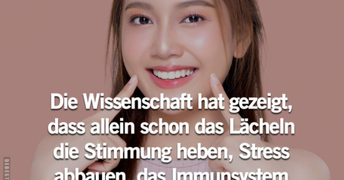 neue-bilder-und-memes-stress-abbauen-lustig-kostenlos-debeste-de