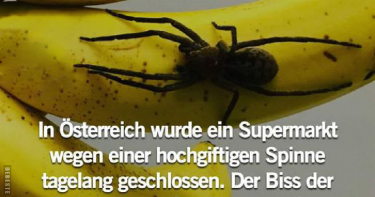 10 lustige Bilder österreich - Seite (9) - DEBESTE.de