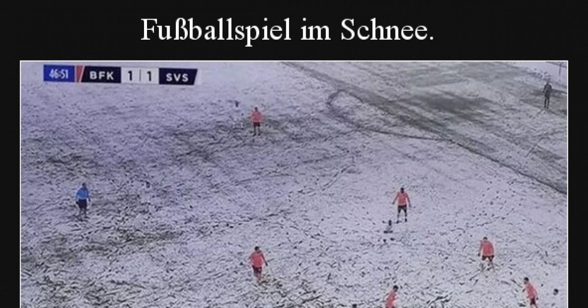 lustige bilder im schnee