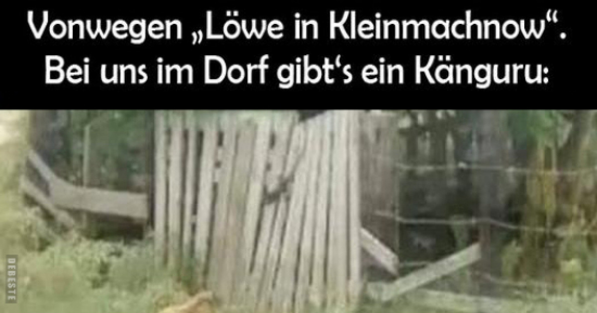 Kleinmachnow Kommt Nicht Zur Ruhe