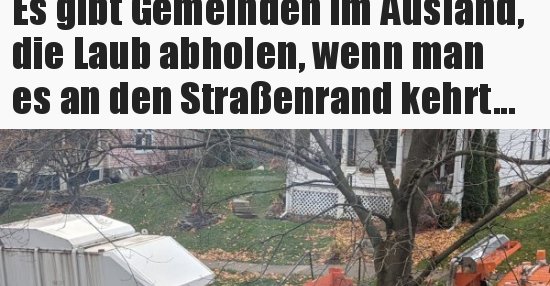 Es gibt Gemeinden im Ausland, die Laub abholen, wenn man es.. Lustige