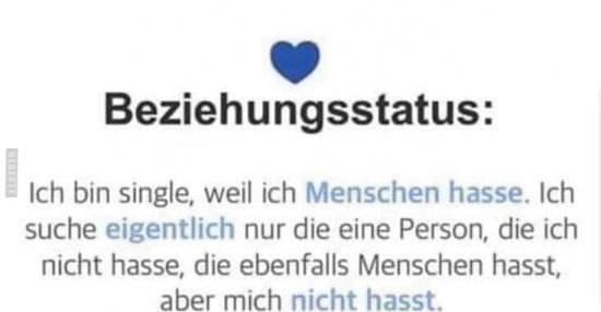 Beziehungsstatus Ich Bin Single Weil Ich Menschen Lustige Bilder Spruche Witze Echt Lustig