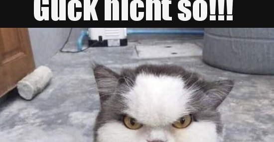 Guck nicht so!!! Ich bin sauer!!!.. Lustige Bilder, Sprüche, Witze