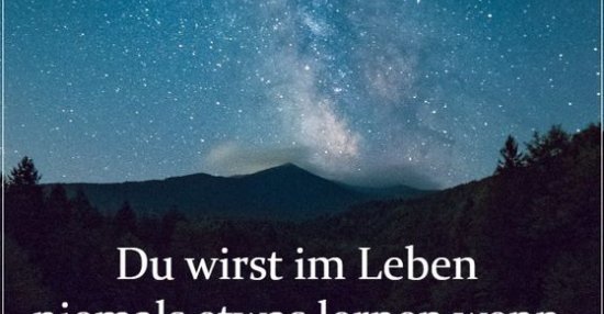 Du wirst im Leben niemals etwas lernen wenn du glaubst, du.. - DEBESTE.de