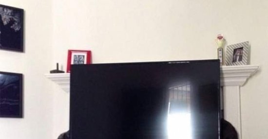 Lustige Bilder, Sprüche, Witze, echt lustig