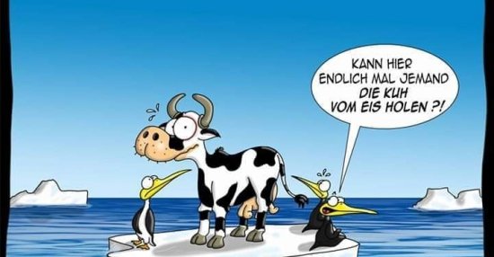 46++ Kuh sprueche , Kann hier endlich mal jemand die Kuh vom Eis holen?!.. Lustige Bilder, Sprüche, Witze, echt lustig