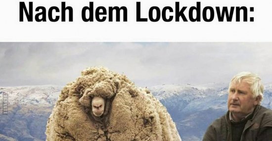 Nach dem Lockdown.. | Lustige Bilder, Sprüche, Witze, echt ...