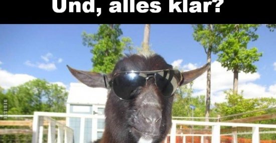 Und, alles klar? | Lustige Bilder, Sprüche, Witze, echt lustig