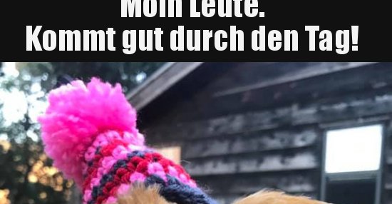 37++ Lustig gut gelaunt durch den tag sprueche ideas