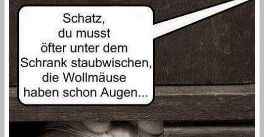 Schatz, du musst öfter unter dem Schrank staubwischen.. | Lustige