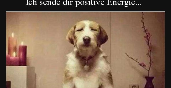 Ich Sende Dir Positive Energie Verschwende Sie Nicht Fur Lustige Bilder Spruche Witze Echt Lustig