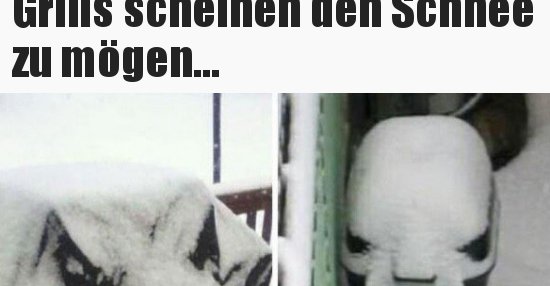 38++ Dann eben nicht sprueche , Grills scheinen den Schnee zu mögen... Lustige Bilder, Sprüche, Witze, echt lustig