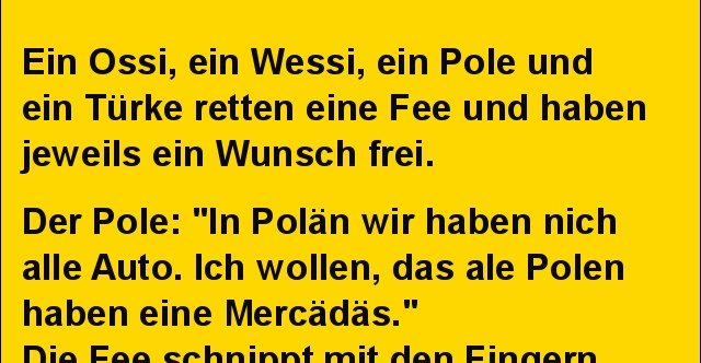 Ein Ossi, ein Wessi, ein Pole und ein Türke retten eine.. Lustige