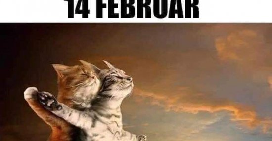 14 Februar vs. 15 Februar Lustige Bilder, Sprüche, Witze, echt lustig