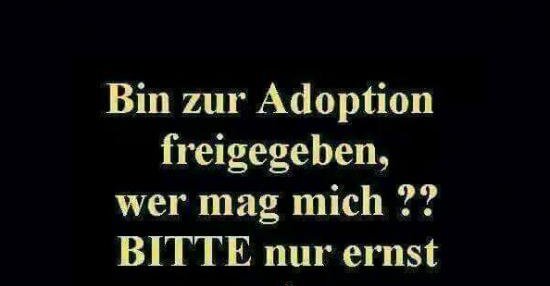 Bin zur Adoption freigegeben...? Lustige Bilder, Sprüche, Witze, echt