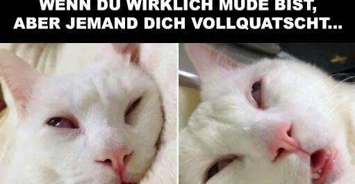 Wenn du wirklich müde bist.. Lustige Bilder, Sprüche, Witze, echt lustig