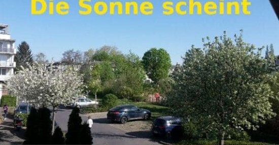 Die Sonne scheint... Ich bin Bereit.. | Lustige Bilder, Sprüche, Witze