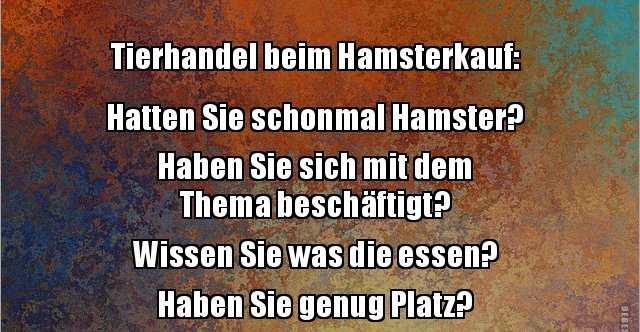 Get Lustig tiefsinnige sprueche For Android Lustig Tiefsinnige Sprueche