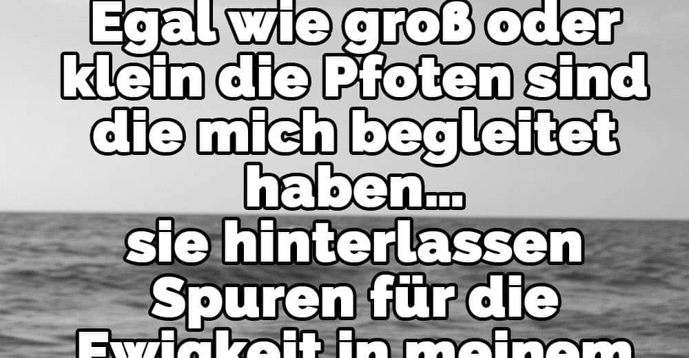 Egal, wie klein ein Hund ist.. Lustige Bilder, Sprüche, Witze, echt