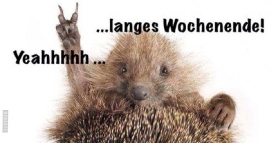 42++ Lustige sprueche wellness wochenende , ...langes Wochenende! Yeahhh... Lustige Bilder, Sprüche, Witze, echt lustig