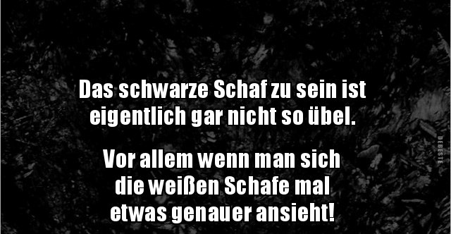 Das schwarze Schaf zu sein ist eigentlich gar nicht so.. Lustige