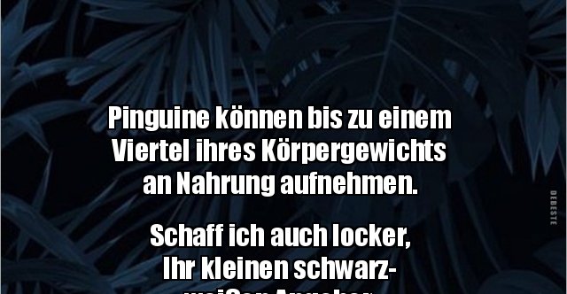 Pinguine können bis zu einem Viertel ihres.. Lustige Bilder, Sprüche