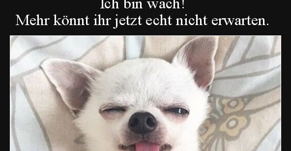 33++ Ich bin wach bilder , Ich bin wach! Mehr könnt ihr jetzt echt nicht erwarten... Lustige